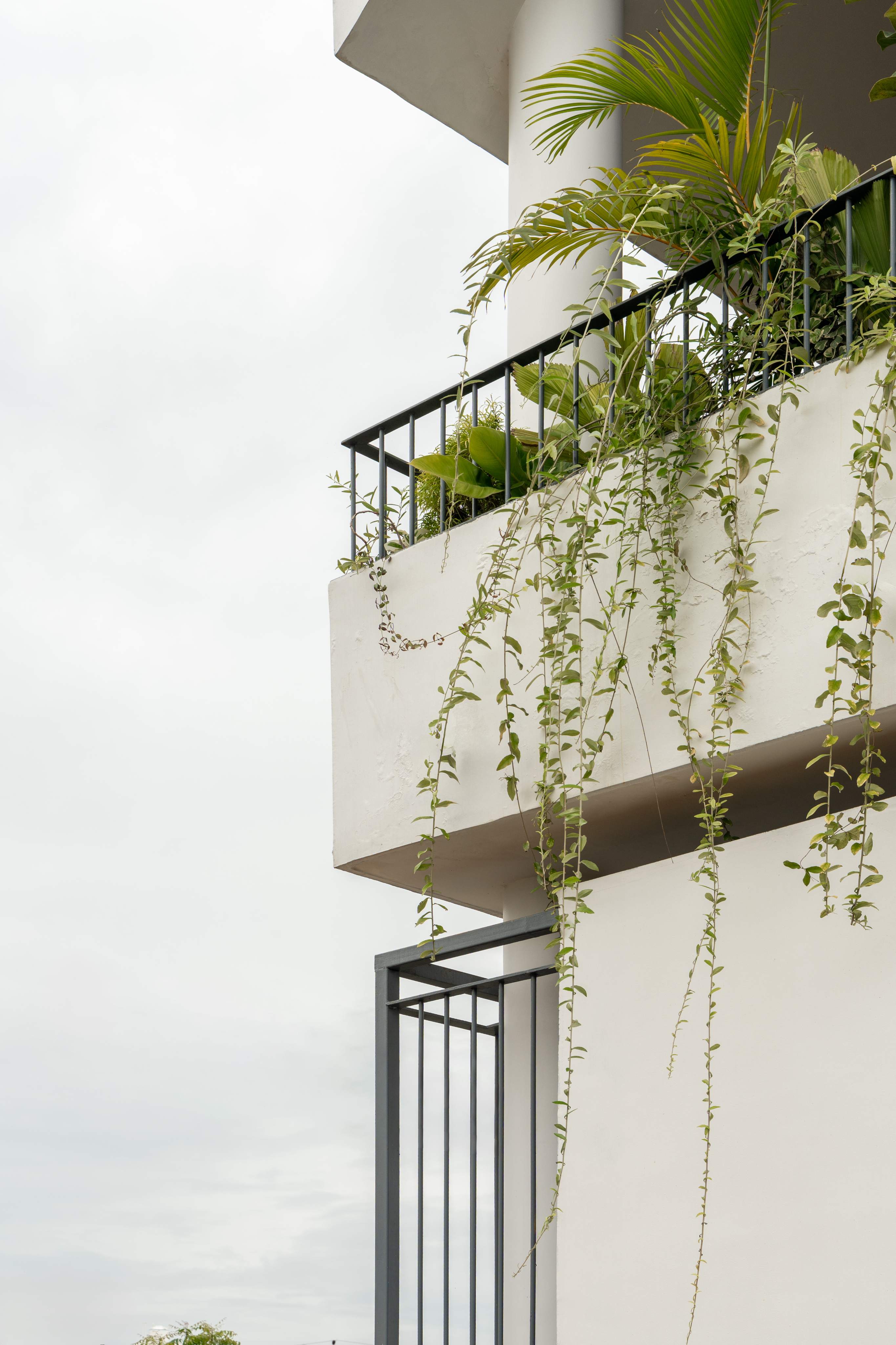 BODHISATWA - View 31